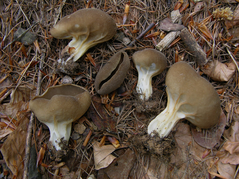 Ritrovamenti del 16 maggio.